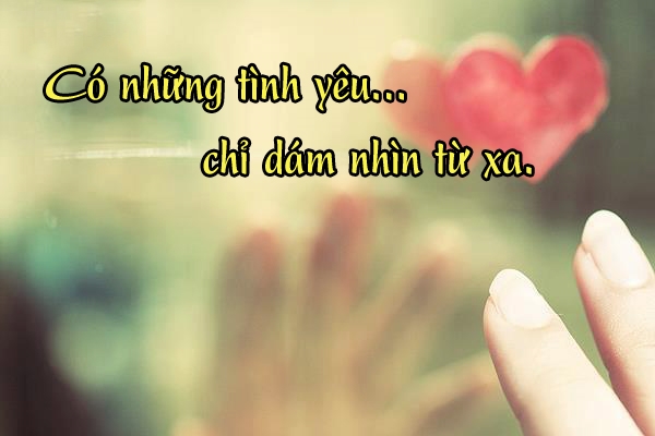 Crush nghĩa là cái đéo gì vậy?