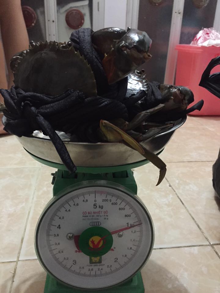 Cua ghẹ trên mạng bán giá bao nhiêu tiền