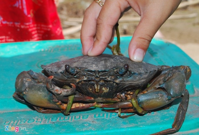 Đánh lô 3 càng như thế nào